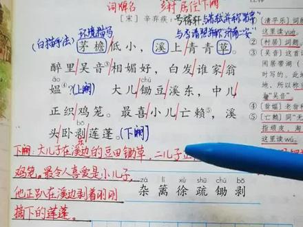 清平乐村居 #寒假预习新课 #小学语文 #学霸秘籍 #四年级下册语文第一课古诗三首第三首【清平乐村居】