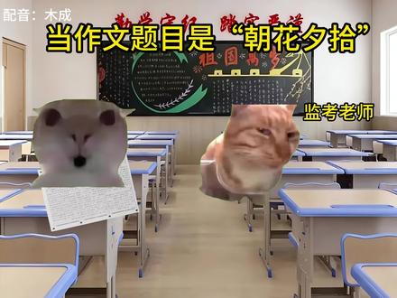 今日主题“朝花夕拾”#木成配音 #猫meme #作文素材
