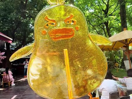 野生异色鸭吉吉 #鸭吉吉 #洛克王国 #非遗新青年 #百young非遗计划 #抖音非遗计划