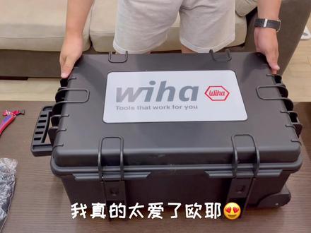 我的大玩具到啦! #开箱 #开箱视频 #威汉 #工具箱 #工具