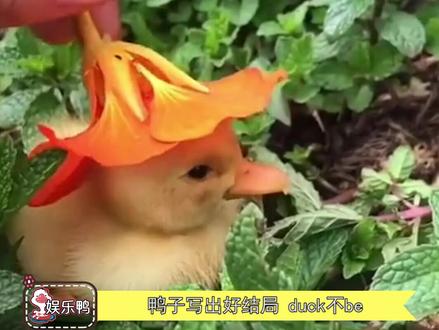 #新歇后语文学你知道多少 涨知识了,原来还可以这样换一种说法表达想要表达的意思!#娱乐评论大赏