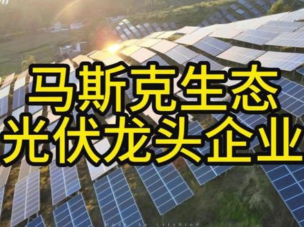 一条视频讲清楚马斯克光伏龙头企业 马斯克光伏核心企业有哪些?#光伏企业 #光伏 #股票 #财经 #光伏概念