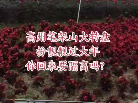 安全第一,哪里过年都一样!