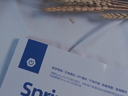 新书速览丨Spring Boot 从零开始学:视频教学版