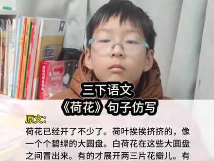 三年级下册语文课文《荷花》句子仿写#句子仿写#三下语文#每天学习一点点