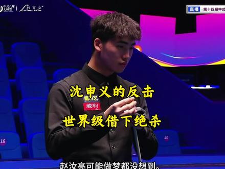 真把老实人逼急了,那是真干你啊!最后的老沈直接展示了什么叫做世界级借下!#台球 #沈申义 #赵汝亮