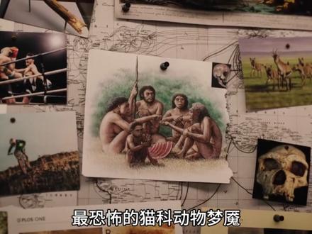 清醒的傀儡:真菌如何劫持蚂蚁身体,人类也在被操控?#寄生虫 #动物科普 #弓形虫 #寄生真菌 #自然奇境科普季