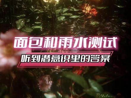 面包和雨水,yes or no!#面包和雨水 #睡觉#做梦 #神奇