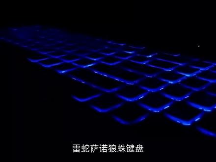 雷蛇萨诺狼蛛键盘,卓越配置与无敌性能共舞!独特背光灯效,让您的战场闪耀夺目。可编程按键与多媒体控制,助您实现个性化操作。耐用设计,稳如磐石,经久耐用。适用于游戏、办公等多种场景,带您畅享新打击感。雷蛇萨诺狼蛛键盘,打破常规,引领极致体验!