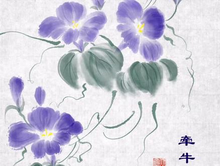 用水墨风画牵牛花,我把春天装进平板里,绘画设备:华为matepadPro12.2,绘画软件:天生会画,所有用到的笔刷均是天生会画自带笔刷。#零基础学画画 #绘画教程 #跟着抖音学画画 #挑战画遍所有花 #平板绘画 @DOU+上热门