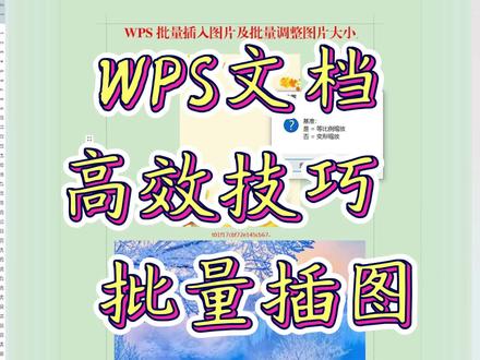 #公文格式 #公文 #公文模版 #公文排版 #公文字体