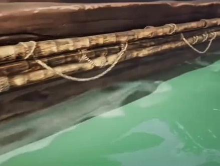 剑来这本书在讲什么?大体意思各位读者可以按照这样去看:儒家一直都在等,等一个能完全教化天下的学问。等来了至圣(原型孔子)立教,等来了礼圣(原型周公旦)的礼制,后来又等来了亚圣(孟子)的性本善,但发现好像还是不行,教化万年,人心已经失去了最初登天前的纯真。世道人心变得越来越复杂,于是性本善独木难支,后来终于等到了文圣(原型荀子),带来了性本恶。不是说亚圣就错了,所以有了三四之争,其实文庙是希望用性本善和性本恶的底层逻辑相互砥砺。但文庙给了人间太多的自由,并没有彻底教化人心,于是崔巉(原型李斯或者说陈亮)的事功学问横空出世。可惜终究是太急了,没能与儒家传统学说进行良好的融合、映证,因为崔巉的事功学说更偏向于法家。后来啊,陈平安(原型王阳明)出现了了,所以他这一生都在为浩然天下人心纠错改错,知行合一便是陈平安要走的路#国漫崛起 #剑来