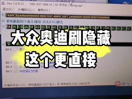 大众奥迪刷隐藏这个更直接#大众 #奥迪#修车