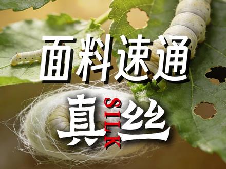 一口气搞懂属于国人自己的富贵褶:真丝 #桑蚕丝#打假 #品质生活 #真丝 #避坑