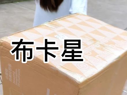 布卡星70星空笼get√#养鼠日常分享 #金丝熊 #抖in萌宠计划 #金丝熊造景 #鼠鼠我呀