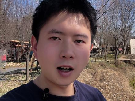 乡村面包窑,还能不能做?一个视频说清楚! #面包窑 #乡村创业 #农文旅运营规划 #实体店引流