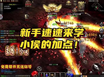 新手玩家进来学加点!