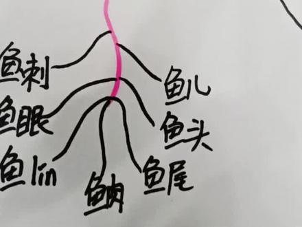掌握方法,组词不难#思维导图 #每天学习一点点 #一年级语文