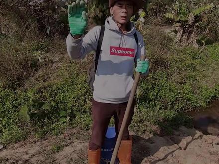 小时候经常来溪里抓货,今天从洞里抓到鳗鱼,捡到造型别致的木头 #三农 #小溪 #鳗鱼 #木头 #生活