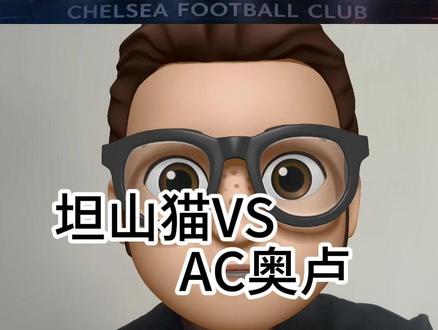 奥卢的迷弟,大家怎么看呢? #坦山猫 #AC奥卢 #芬超 #子弹情报所