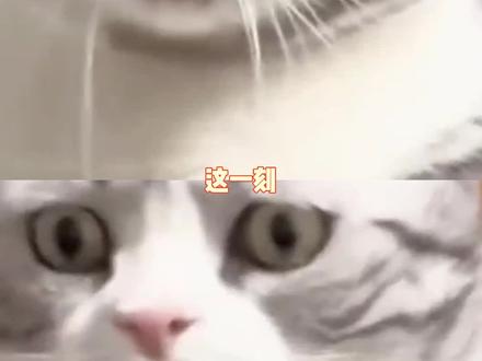 给我玩玩给我玩玩!#拼豆#霉豆腐#过家家#模仿