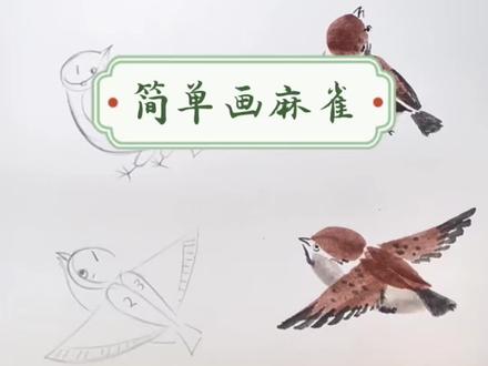 一分钟教你学会画不同姿态的麻雀! #绘画教程 #麻雀的画法#国画艺术 #水墨画 #手绘乐趣