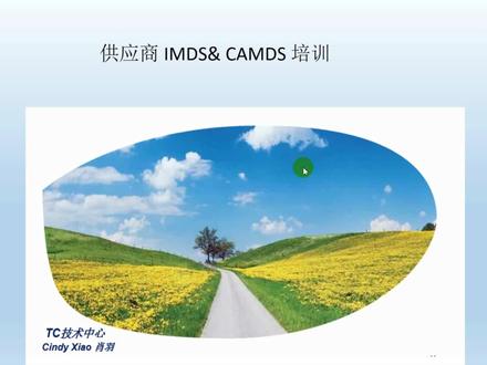 06-CAMDS填报培训-皮革材料如何填报
