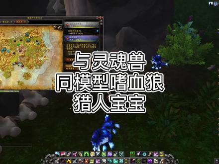 正式服,与灵魂兽同模型的可开嗜血狼猎人宝宝#游戏 #游戏日常 #网络游戏 #魔兽世界玩法