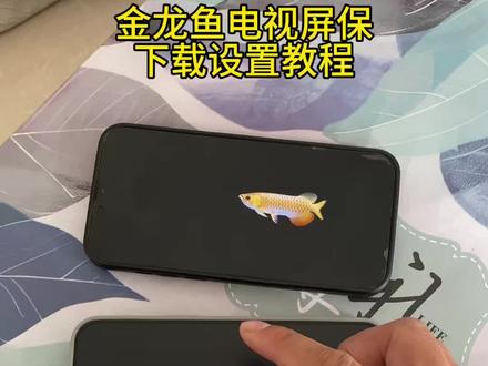 《黑盒资源》金龙鱼电视屏保下载和设置教程,电视养鱼教程,金龙鱼屏保下载教程,金龙鱼动态壁纸下载,金龙鱼4k超清全面屏。海信电视机屏保龙鱼设置教程,金龙鱼动态壁纸下载免费,TCL金龙鱼电视屏保设置教程,小米电视金龙鱼屏保设置教程,金龙鱼屏保高清4K下载教程, #电视养鱼教程 #电子养鱼 #电视屏保 #金龙鱼屏保 #电视屏保设置教程电视养鱼,电子养鱼。金龙鱼电视屏保教程
