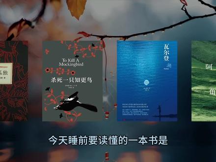 睡前读懂一本书之《苏菲的世界》#苏菲的世界 #读书分享 #哲学人生 #文字的力量