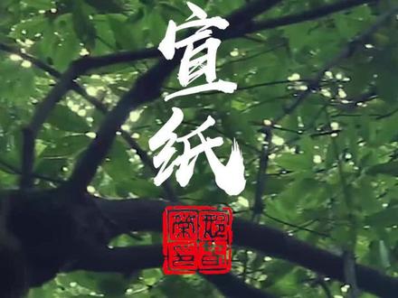 宣纸一张,书画千年,看制作工序#大揭秘 !@抖音文化站