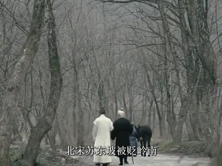 吃荔枝的风险你知道吗? #荔枝 #科普 #抖音精选 #青荔枝 #揭秘