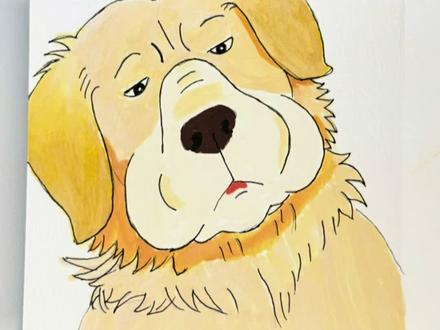 挑战画100个萌宠,可爱大金毛#真实生活分享计划 #儿童简笔画 #宠物画像 #跟着抖音学画画 #绘画 喜欢宠物原视频请至@茅台tao