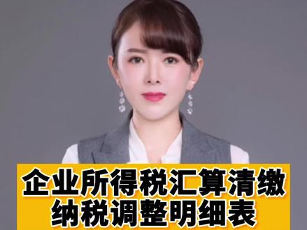 所得税汇算清缴纳税调整明细表#企业所得税汇算清缴 #我要当同城红人 #抖音小助手