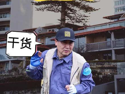 修剪松树技巧:跟清华大学李树华教授 学习如何修剪松树#黑松 #松树