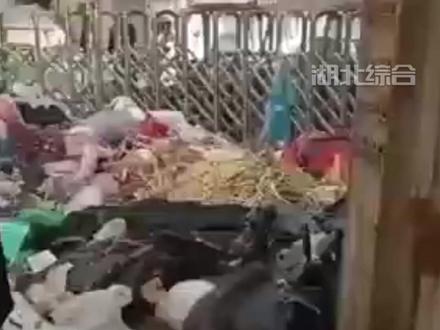 河南一垃圾处理厂设备突发故障,多个小区外围出现垃圾堆积。城管局:设备已修复,正加快处理