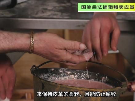 利用好动物脑花中天然乳化剂物质,是制作一件上等牛皮的关键 #野外生存 #原始技术 #野外建造 #山地硬汉