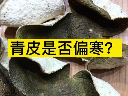 新会陈皮中的青皮是否偏寒?#新会陈皮 #青皮 #科普知识