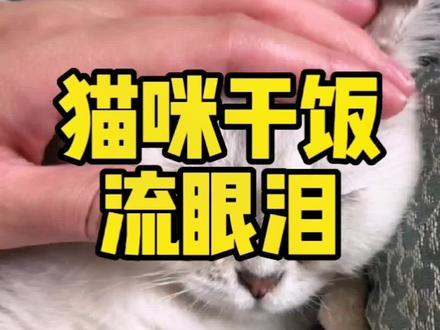 猫咪一干饭就流眼泪,是怎么回事? #猫咪流泪#信为猫粮#悟空兽医