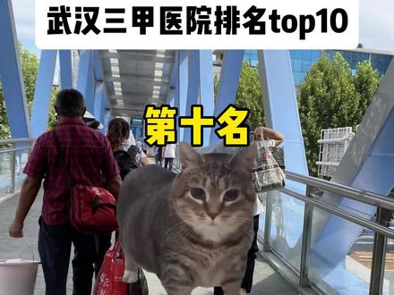 武汉三甲医院排名top10!
#武汉