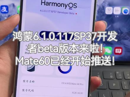 鸿蒙6.1.0.117SP36开发者Beta版本来啦!Mate60系列开始推送!大家收到了嘛~#鸿蒙6 #API24 #华为 #数码科技 #鸿蒙越用越香