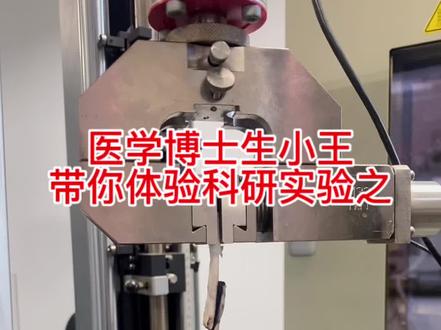 医学博士生小王带你体验科研实验之水凝胶猪皮黏附实验#研究生 #科研狗的日常 #每天跟我涨知识 #医学生 #制作过程