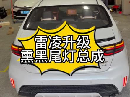 雷凌升级熏黑龙鳞款尾灯总成#抖音汽车 #雷凌 #dou是好车