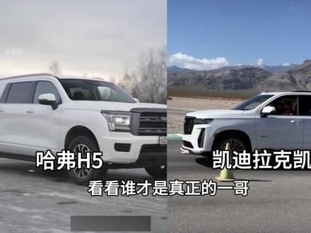 哈弗H5“大战”凯迪拉克凯雷德,到底谁才是真正的一哥