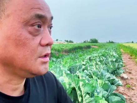 狗眼看人低,人穷狗也欺,佛争一炷香,人争一口气,龙游浅滩遭虾戏,虎落平阳被犬欺,墙倒众人推,破鼓万人捶#负债人 #负债人的心声