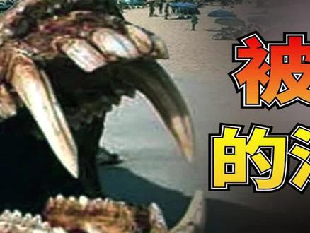 六大深海怪物:卡车般大小的白毛海怪,真实身份竟是它! #海洋生物 #奇闻异事 #涨知识