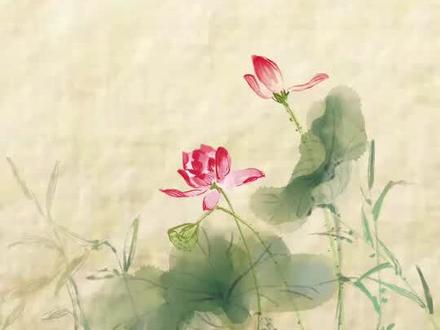 @抖音小助手 #取啊取啊取名字 五行属木宝宝的专属