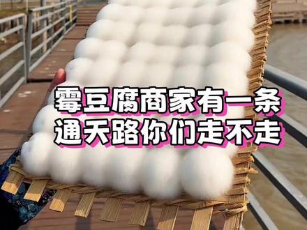 如果期末考试像做霉豆腐一样简单就好了#霉豆腐 #解压 #美食 #玩梗 #搞笑