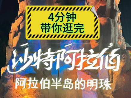 4分钟逛完上海沙特市集
#上海 #沙特 #上海玩乐攻略 #主打的就是一个真实 #市集