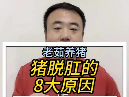 猪脱肛的原因,以及如何防治。#养猪人#养猪#猪厂